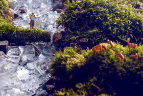 prazdroj-vyrazne-znizil-emisie-vo-vyrobe-pomaha-aj-za-branami-pivovarov